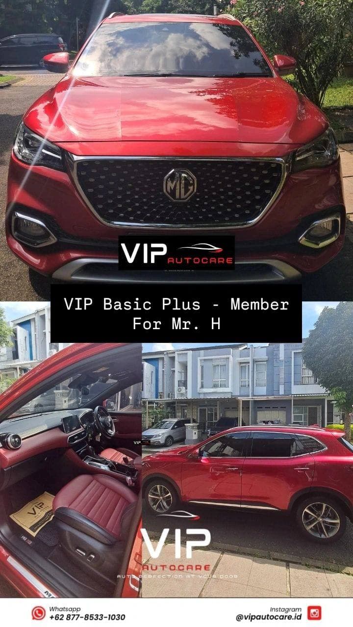 Project #01 · VIP Basic Plus