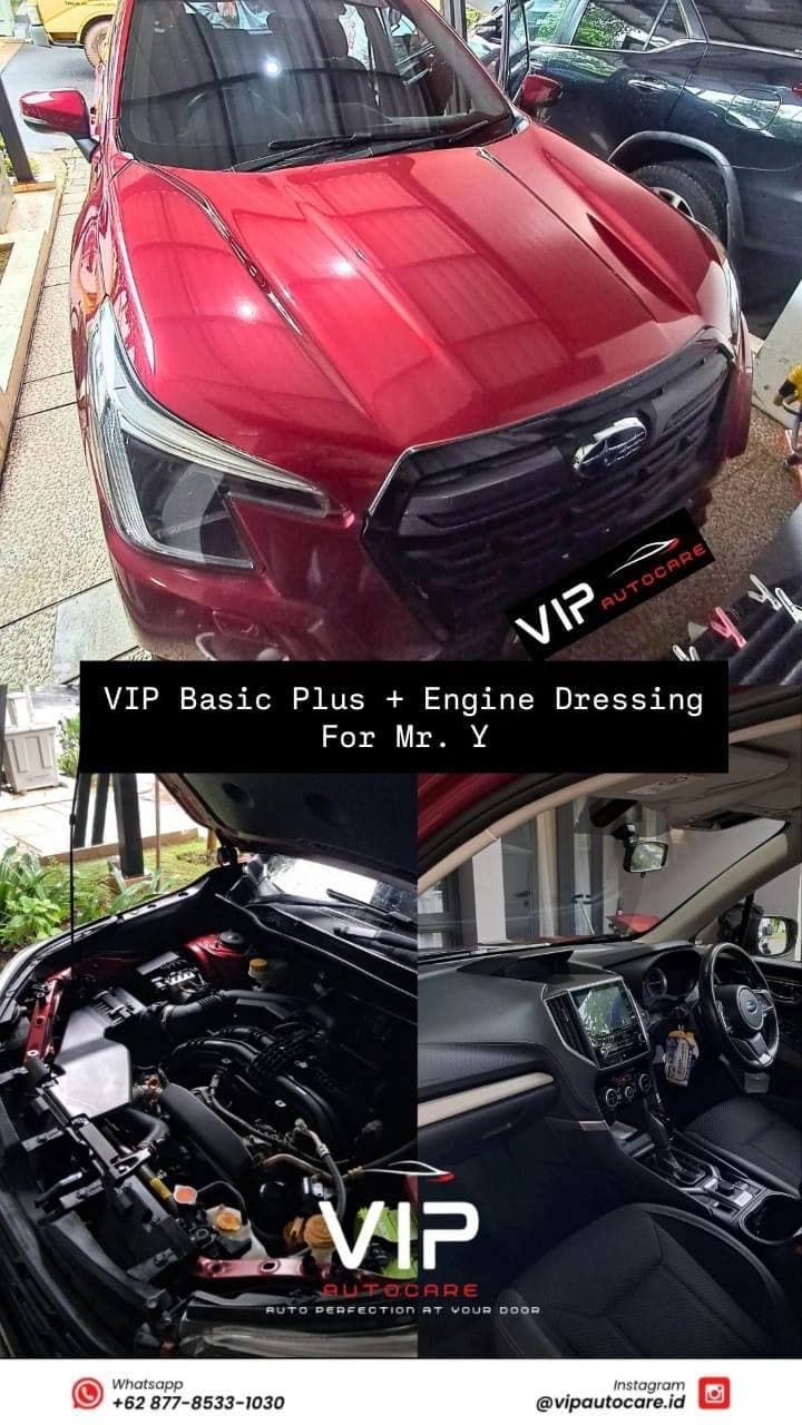 VIP Autocare project #14 — VIP Pro